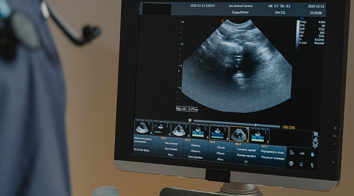 A pet ultrasound