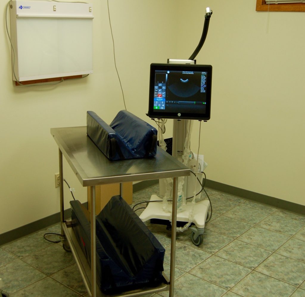 Tour Our Pet Hospital Altoona Veterinary Hospital