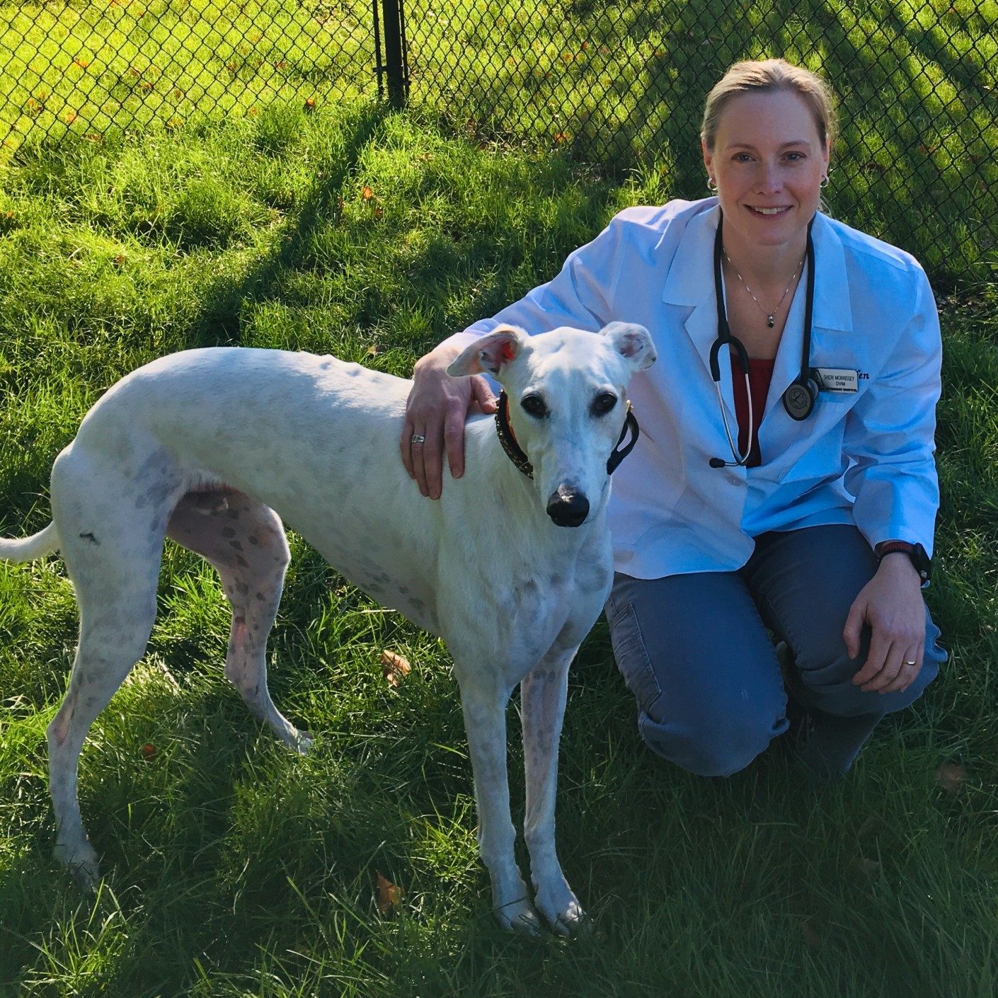 Dr. Sheri Morrissey, DVM Altoona Veterinary Hospital