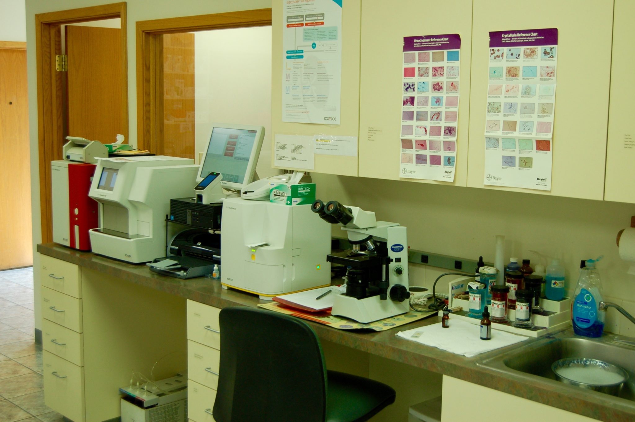 Tour Our Pet Hospital Altoona Veterinary Hospital