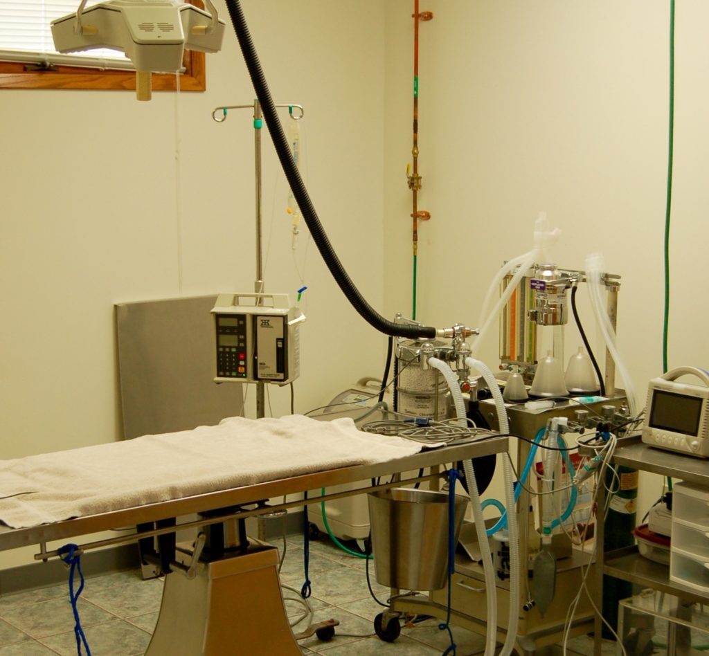 Tour Our Pet Hospital Altoona Veterinary Hospital